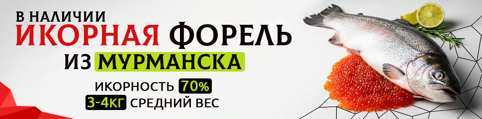 мурманск нп декабрь