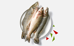 Сибас с/м