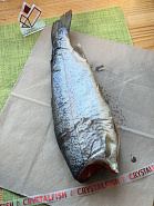 Форель тушка х/к